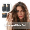 Damaged hair Set