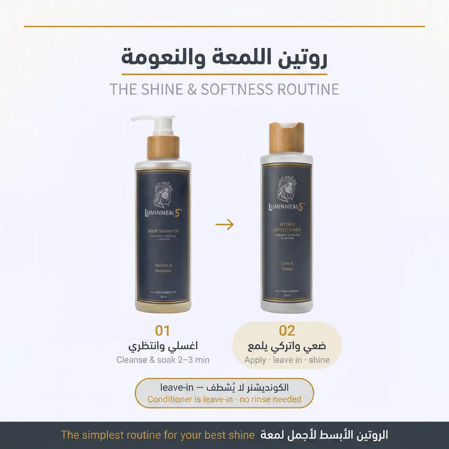 Hair Shine Set - image 5