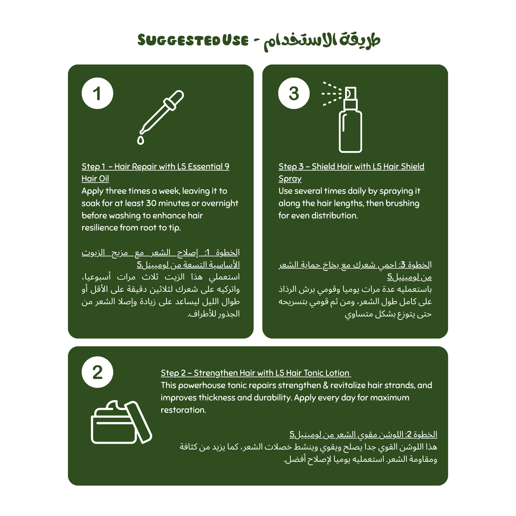 Instructions for hair care products with text and icons on a green background (damaged Hair Set)